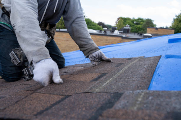 Best Solar Panel Roofing Installation  in Republic, WA